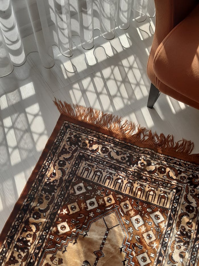 A warm and inviting interior scene with sunlight casting shadows on a bohemian rug.